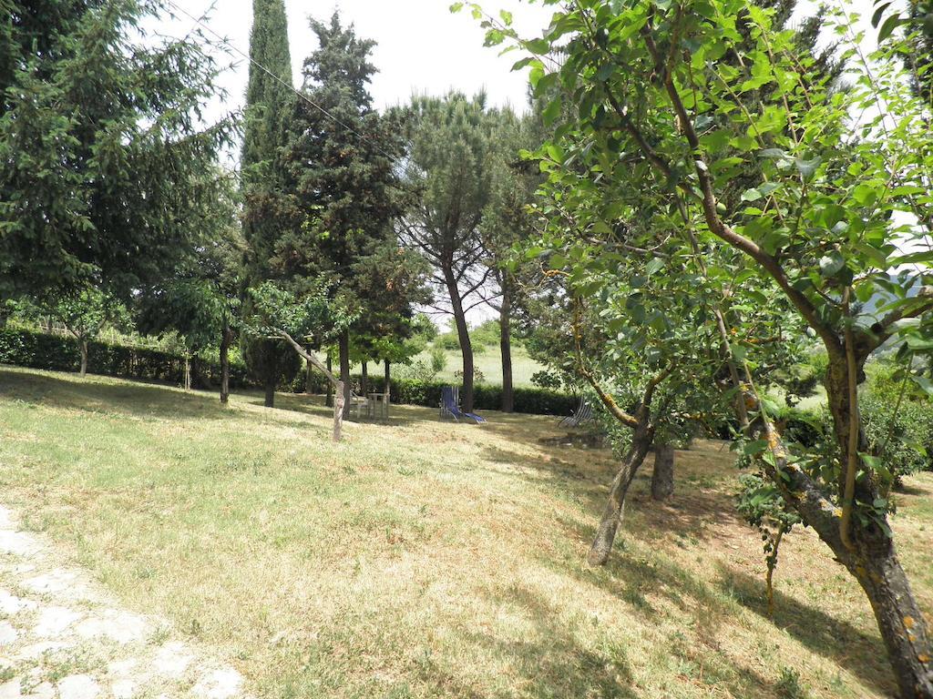 Montebeni Apartments Greve in Chianti Ngoại thất bức ảnh