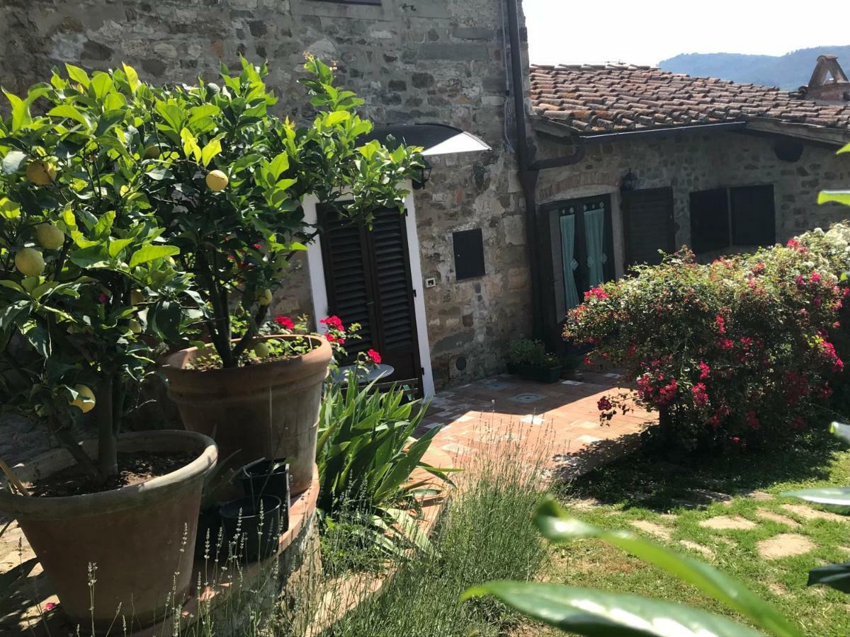 Montebeni Apartments Greve in Chianti Ngoại thất bức ảnh